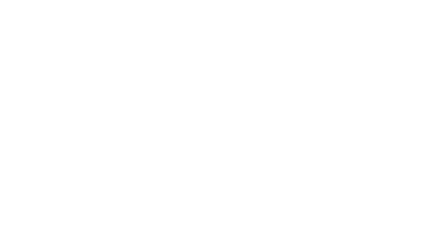 logo SRE ITS